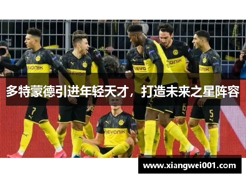 多特蒙德引进年轻天才，打造未来之星阵容