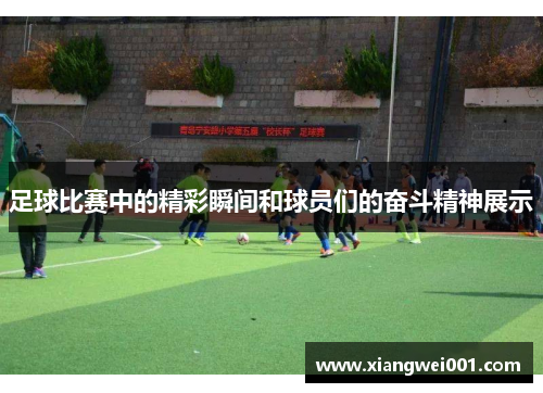 足球比赛中的精彩瞬间和球员们的奋斗精神展示