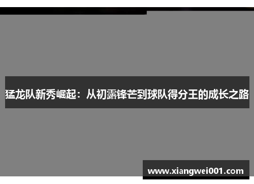 猛龙队新秀崛起：从初露锋芒到球队得分王的成长之路