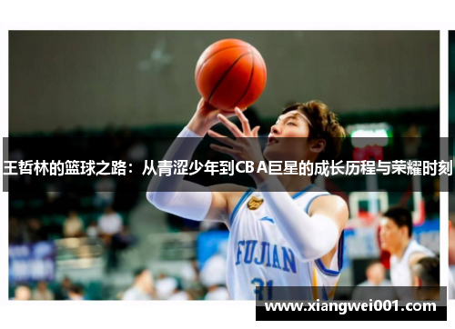 王哲林的篮球之路：从青涩少年到CBA巨星的成长历程与荣耀时刻