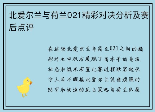 北爱尔兰与荷兰021精彩对决分析及赛后点评