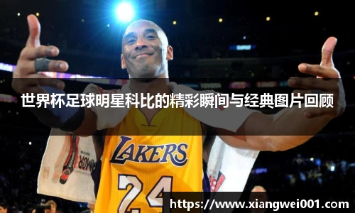 BBt贝博·(bellbet)艾弗森官网